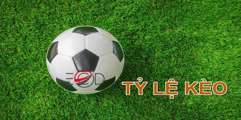 Cùng Hi88 Tìm Hiểu Những Tỷ Lệ Kèo Bóng Đá Thông Dụng 4 ty-le-keo-bong-da-la-gi
